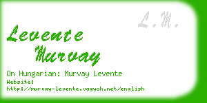 levente murvay business card